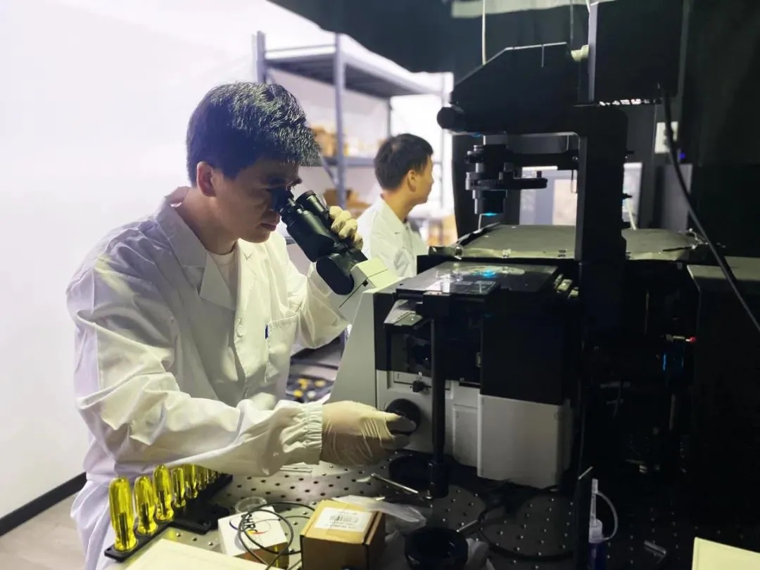 640_wx_fmt=jpeg&tp=webp&wxfrom=5&wx_lazy=1&wx_co=1.webp (2).jpg 640_wx_fmt=jpeg&tp=webp&wxfrom=5&wx_lazy=1&wx_co=1.webp (2).jpg